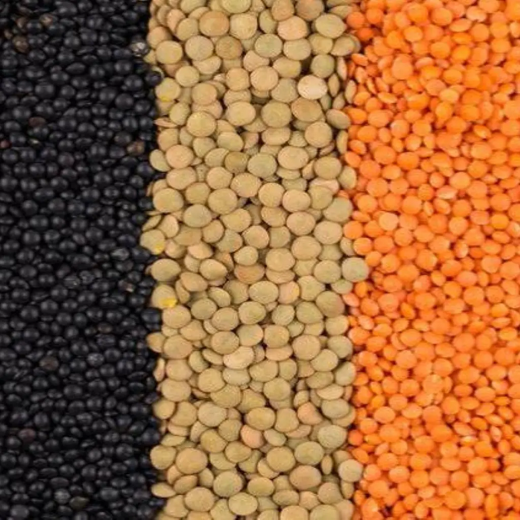 Daal Masoor